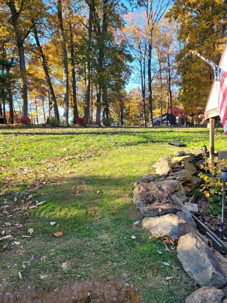 Before: bare yard prior to landscape installation