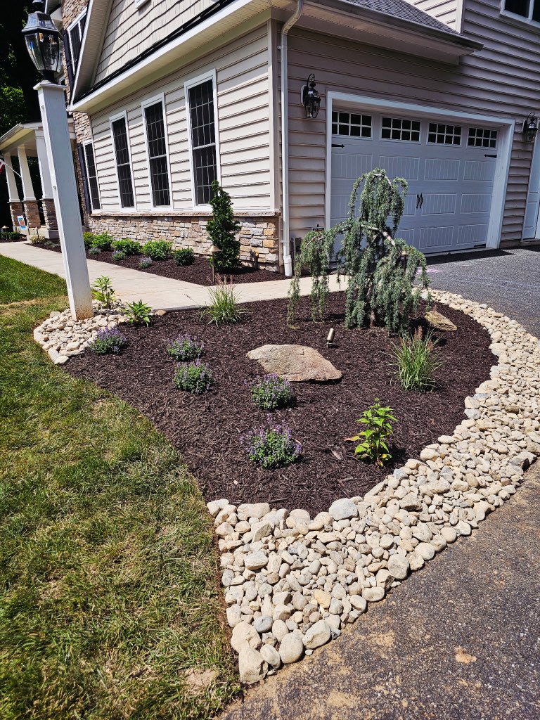 Garage-side bed with a weeping blue spruce by Oakfield Landscaping