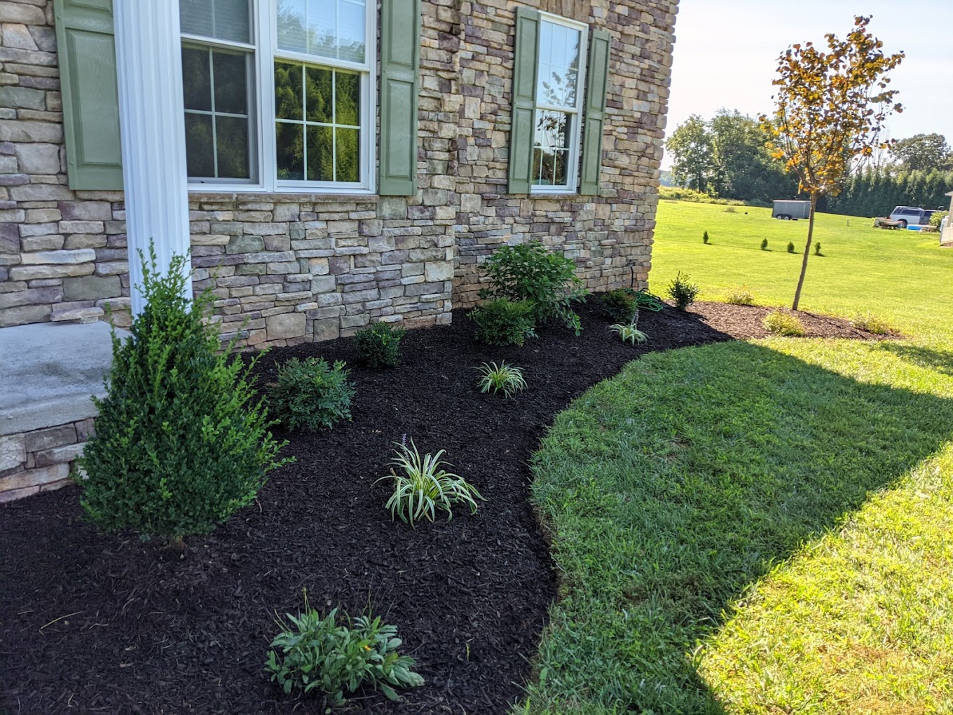 Newly installed foundation planting bed with fresh mulch and clean edging