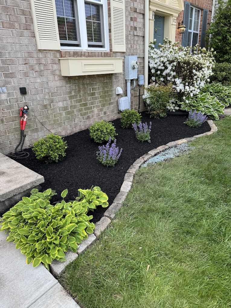 Townhome bed with hostas and catmint by Oakfield Landscaping