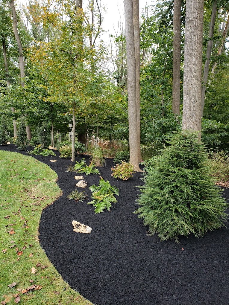Backyard planting renovation with layered beds