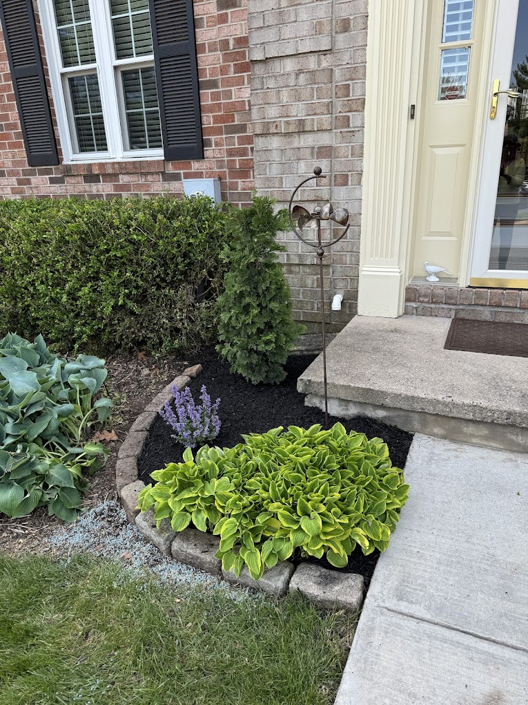 Mature planting bed with ornamental grasses