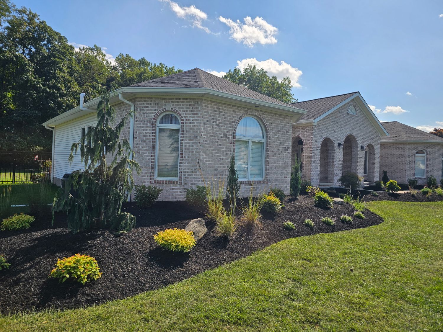Front of a brick home with a curved black-mulch bed planted with a weeping evergreen, golden spirea, ornamental grasses and boulders